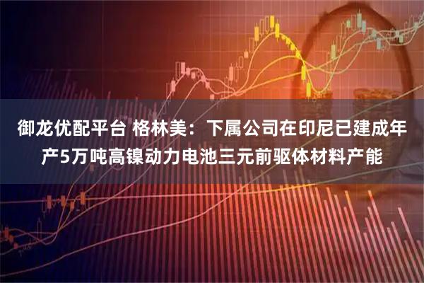 御龙优配平台 格林美：下属公司在印尼已建成年产5万吨高镍动力电池三元前驱体材料产能