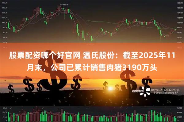 股票配资哪个好官网 温氏股份：截至2025年11月末，公司已累计销售肉猪3190万头